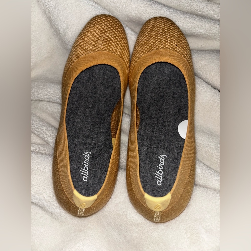 NWOT allbirds Women's Tree Breeders sine 6M - Picture 1 of 5